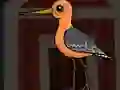 Lojë Cute Godwit Escape në internet