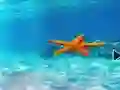 Lojë Escape From Underwater Starfish në internet