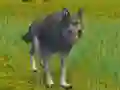 Lojë The Wolf: Wild Animal Simulator në internet