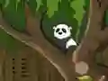 Lojë Panda Jungle Escape në internet