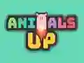 Lojë Animals Up në internet