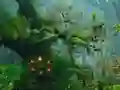 Lojë Innocent Sparrow Couple Escape në internet