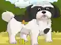 Lojë Dogs Spot the Diffs Part 2 në internet