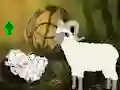 Lojë Help The Baby Sheep në internet