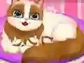 Lojë Cute Kitty Pregnant në internet