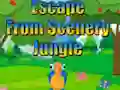 Lojë Escape from Scenery Jungle në internet