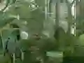 Lojë Mystery Garden Escape në internet