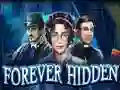 Lojë Forever Hidden në internet