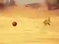 Lojë Monkey Shooting në internet