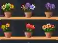 Lojë Good Flower Master në internet
