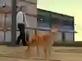 Lojë Cat City Simulator në internet