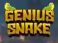 Lojë Genius Snake në internet