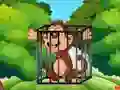 Lojë Free the Captive Ape në internet