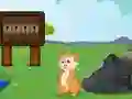 Lojë Rescue the Squirrel from Stone në internet