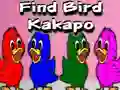 Lojë Find Bird Kakapo në internet