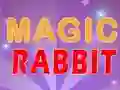 Lojë Magic Rabbit në internet