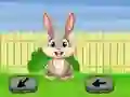 Lojë Springtime Escape në internet
