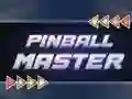 Lojë Pinball Master në internet