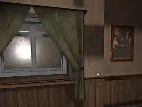 Lojë Hide and Seek Pro në internet