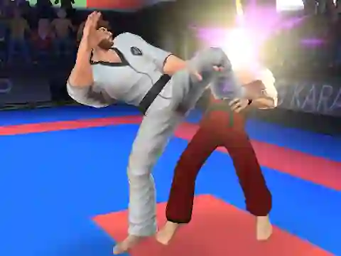 Lojë Karate Fighter në internet