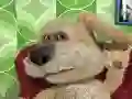 Lojë Talking Ben the Dog në internet