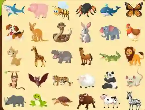 Lojë Discover Animals në internet