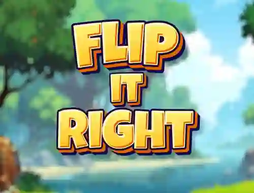 Lojë Flip It Right në internet