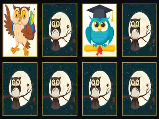 Lojë Cute Owl Memory në internet