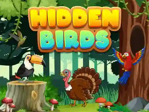 Lojë Hidden Birds në internet
