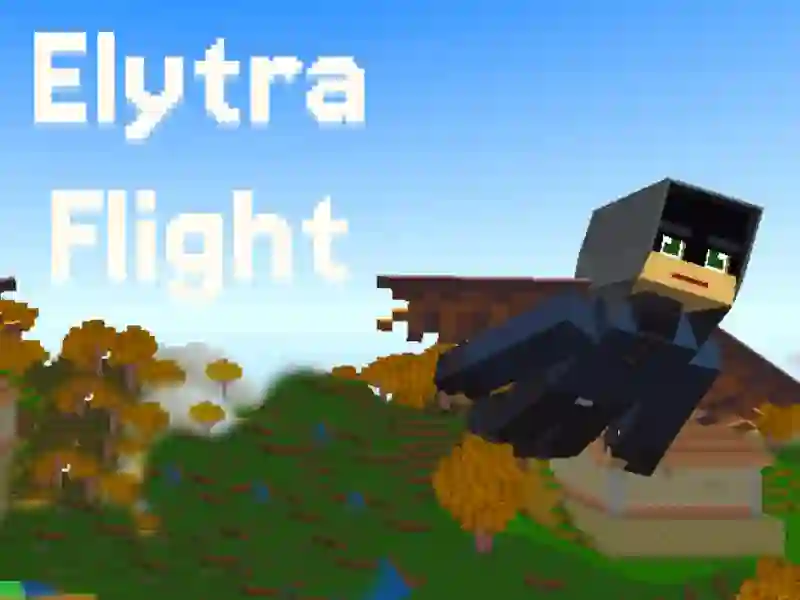 Lojë Elytra Flight në internet