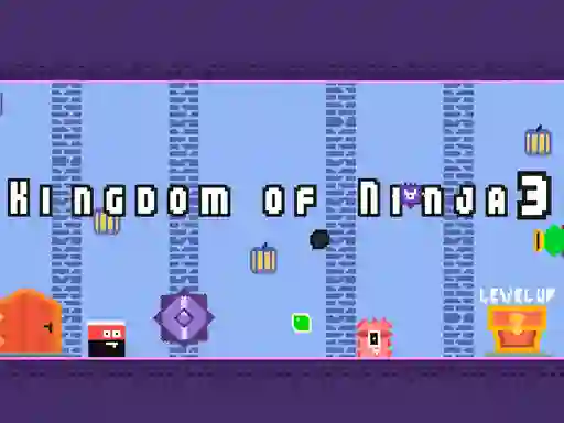 Lojë Kingdom of Ninja 3 në internet