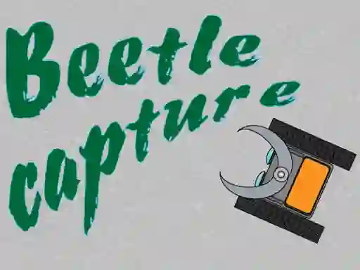 Lojë Beetle Capture në internet