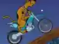 Lojë Scooby Doo Trail në internet