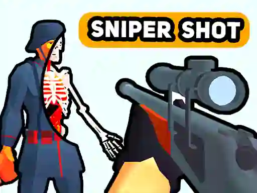 Lojë Sniper Shot: Bullet Time në internet