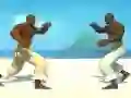 Lojë Capoeira fighter në internet