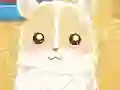 Lojë Hamster Love në internet