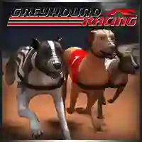 Lojë Greyhound Racing në internet