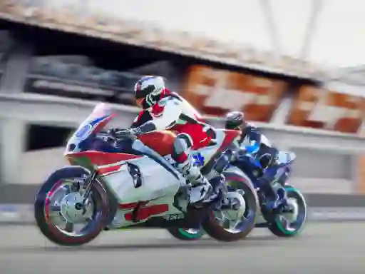 Lojë Super Bike Wild Race në internet