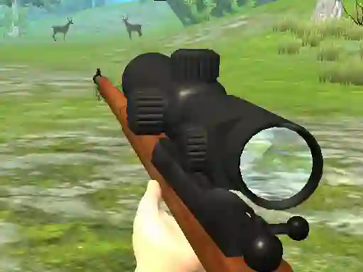 Lojë Hunter 3D në internet