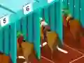 Lojë Derby racing në internet