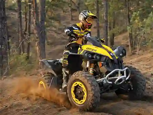 Lojë ATV Offroad Puzzle në internet