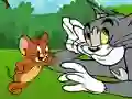 Lojë Tom and Jerry ATV Adventure në internet
