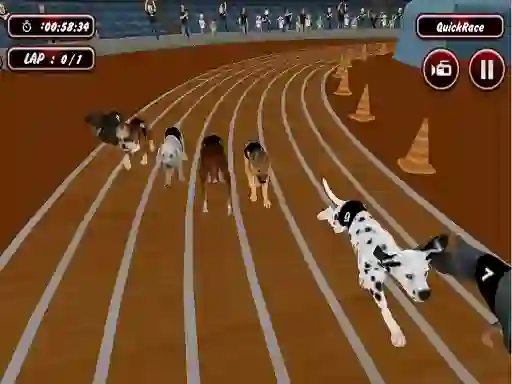 Lojë Crazyl Dog Racing Fever në internet