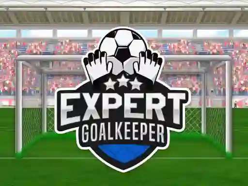 Lojë Expert Goalkeeper në internet