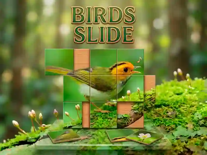 Lojë Birds Slide në internet