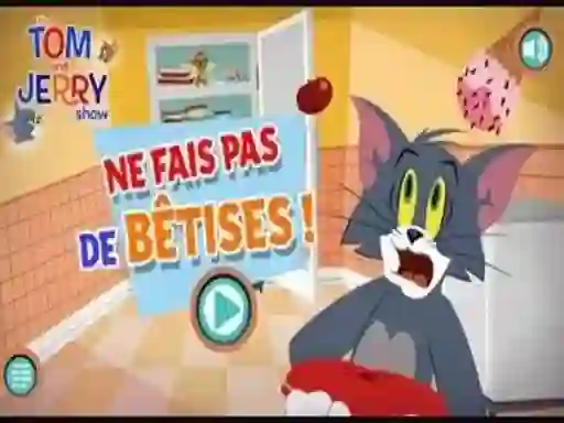 Lojë Ne fais pas de b?tises në internet