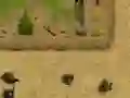 Lojë Ambush në internet