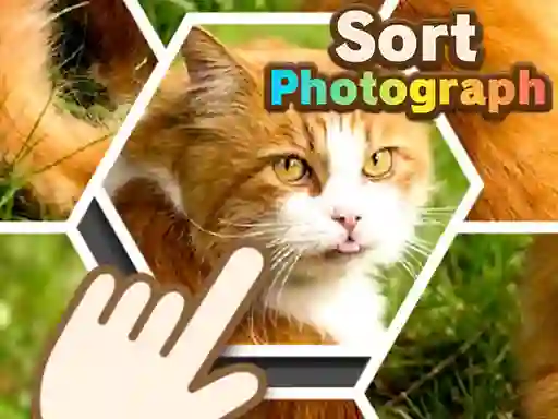 Lojë Sort Photograph në internet