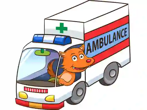 Lojë Cartoon Ambulance Puzzle në internet