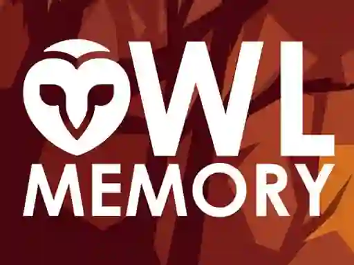 Lojë Owl Memory në internet